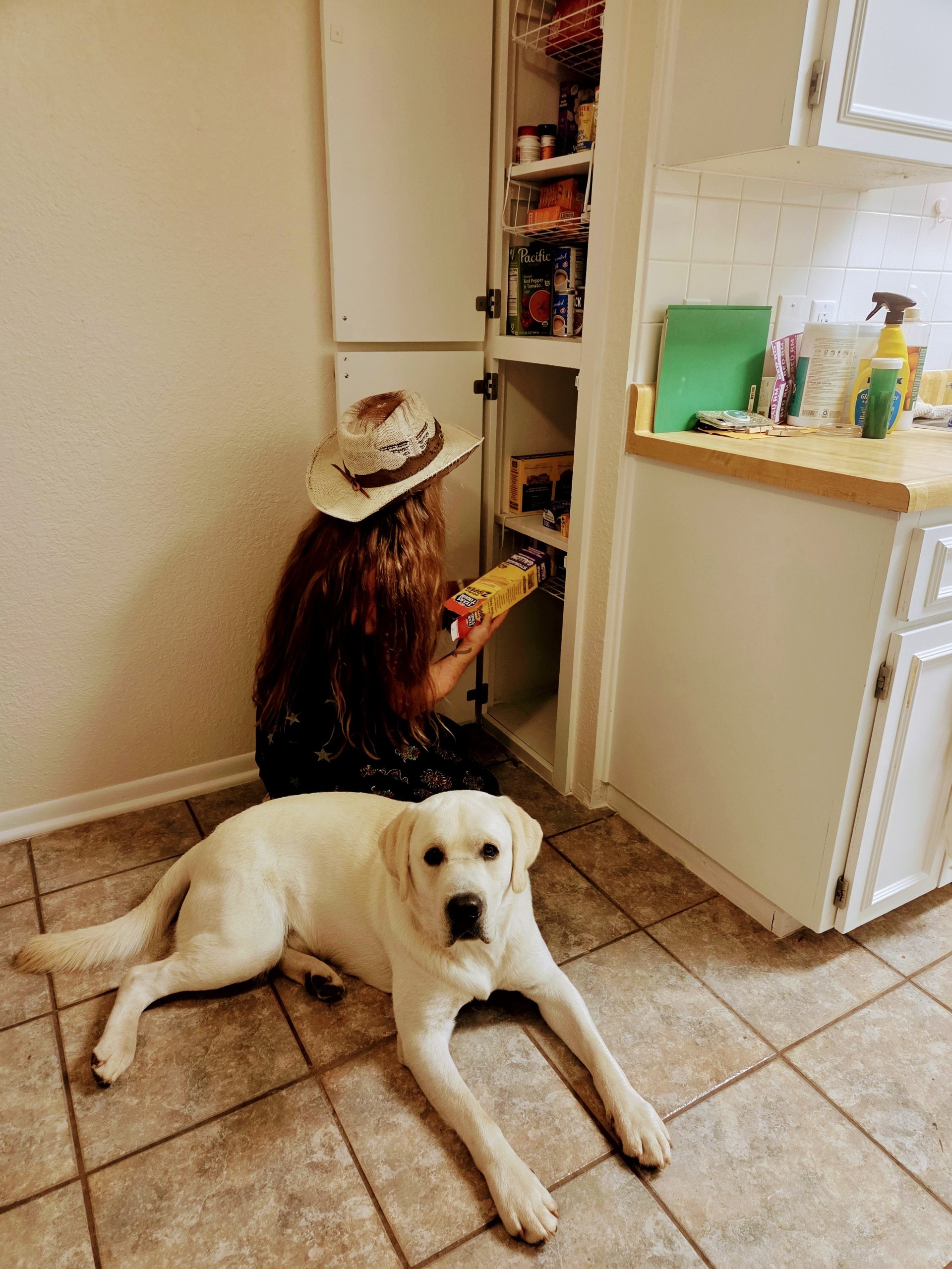 Kitchen Unpack & Organization — before